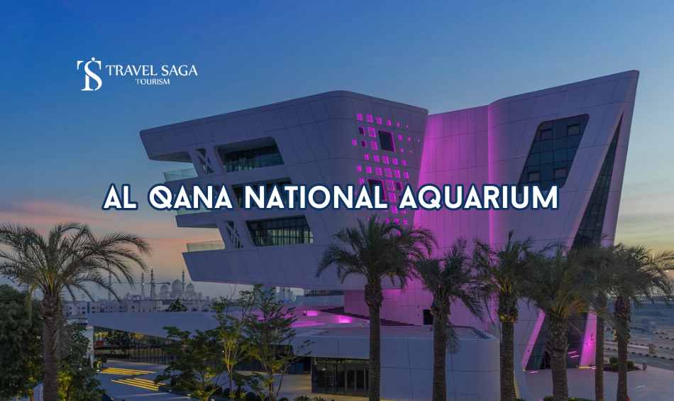 _Al Qana national aquarium, Abu Dhabi blog banner by Travel Saga Tourism