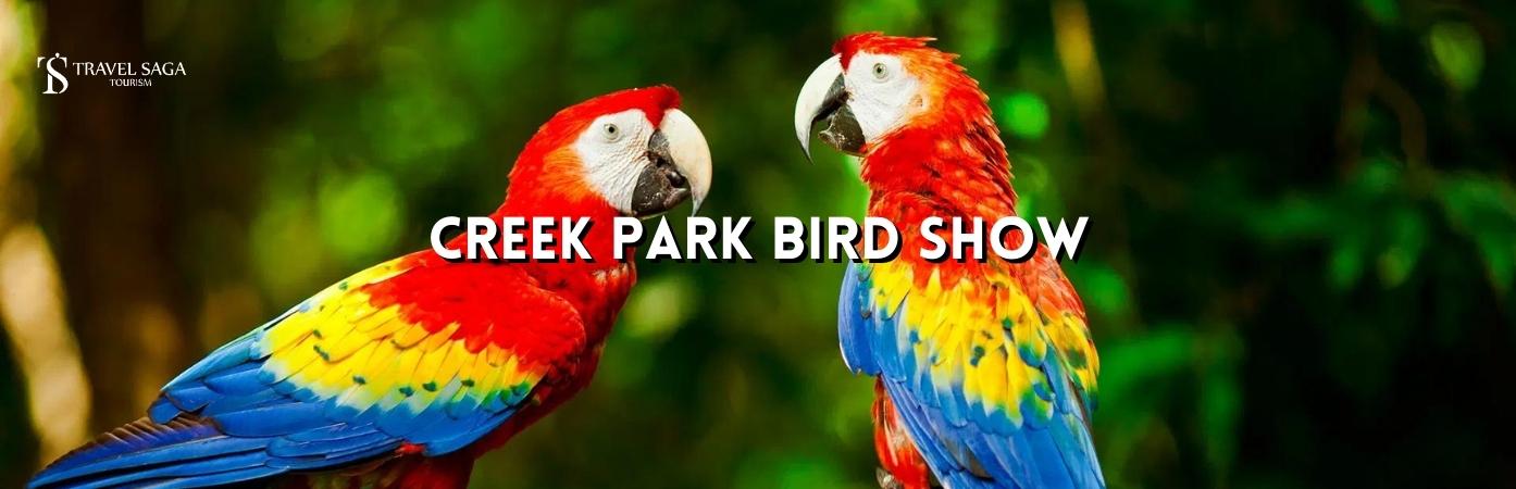 Exotic Bird Show | creek park exotic bird show review BT banner Travel Saga Tourism