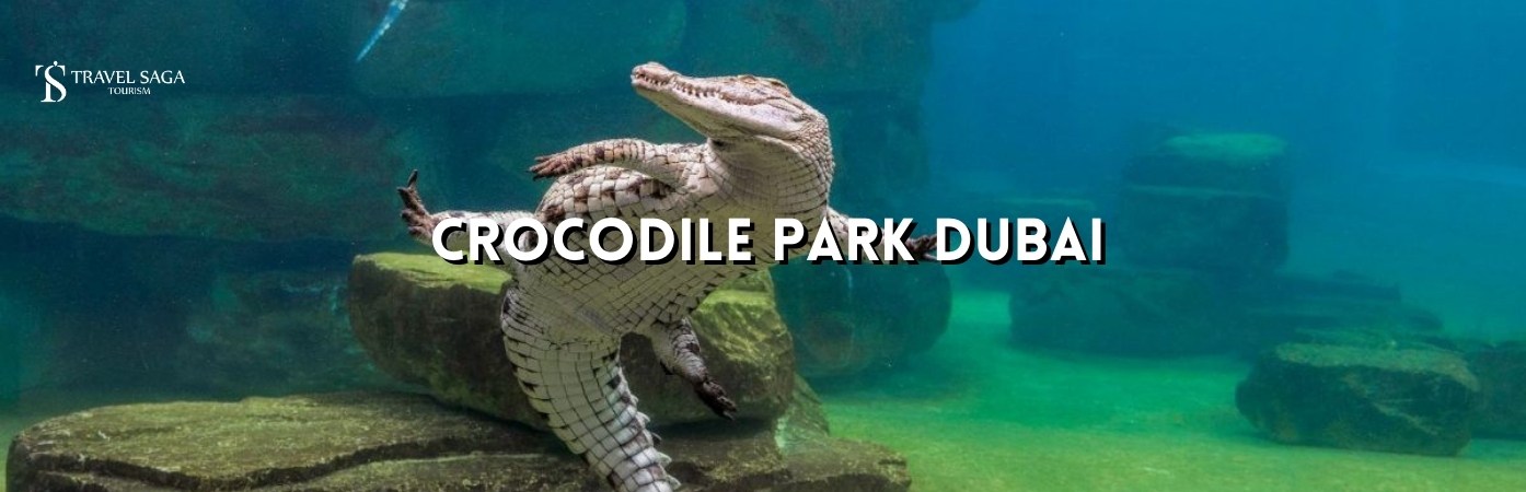 Dubai crocodile park tickets | Dubai crocodile park entry fee BT banner by Travel Saga Tourism