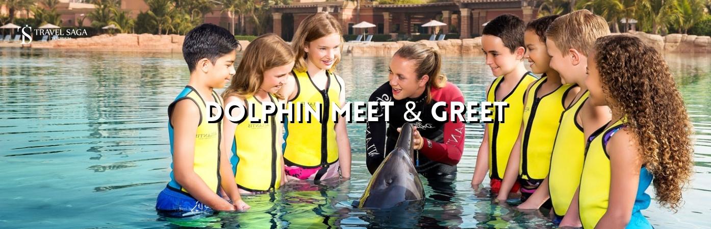 Dolphin Experiences | Dolphin meet and greet BT banner Travel Saga Tourism