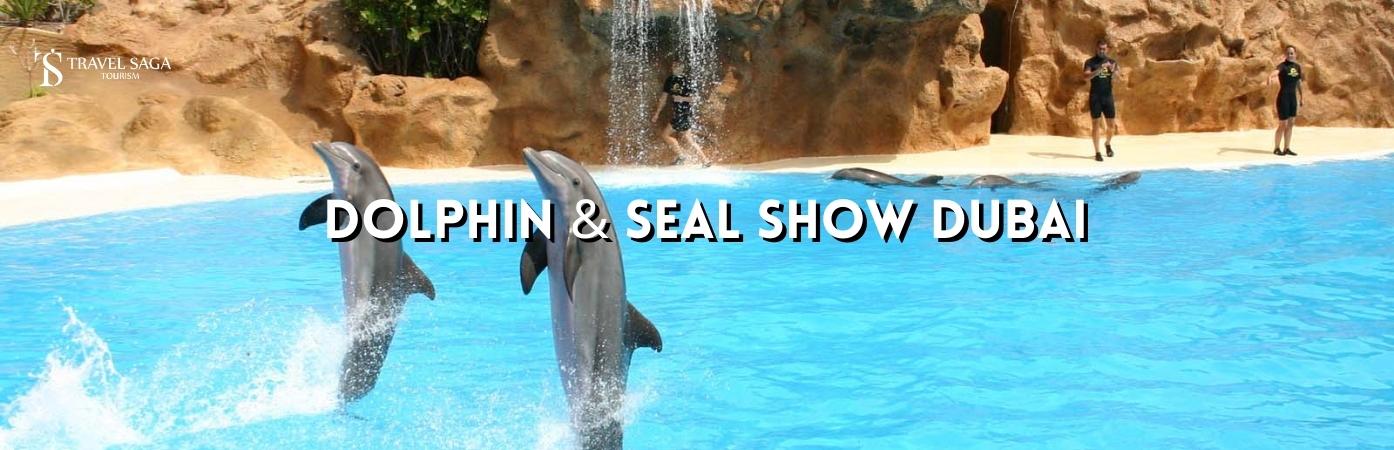 Dolphin and seal show Dubai BT banner Travel Saga Tourism