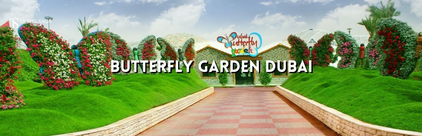 butterfly garden Dubai ticket | Dubai butterfly garden photos