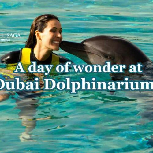 Dubai Dolphinarium blog banner by Travel Saga Tourism