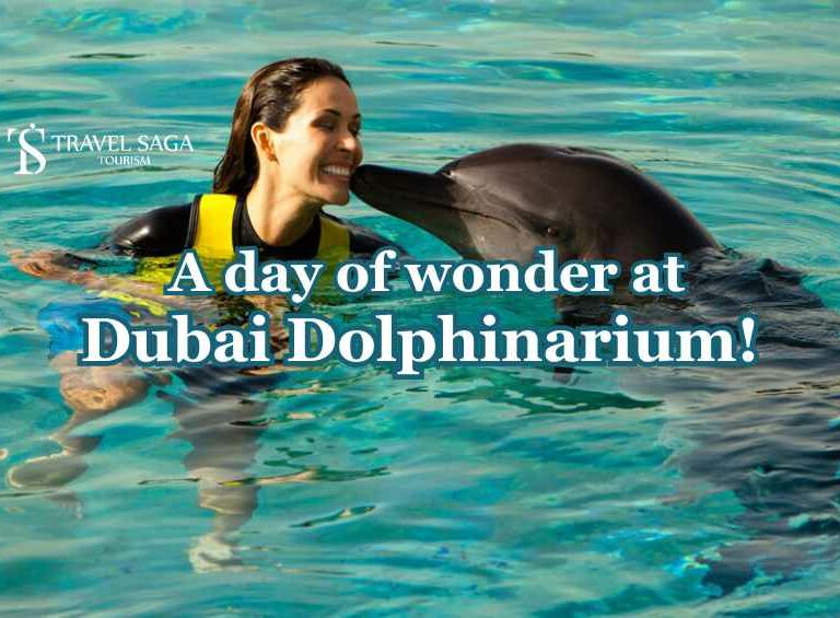 Dubai Dolphinarium blog banner by Travel Saga Tourism