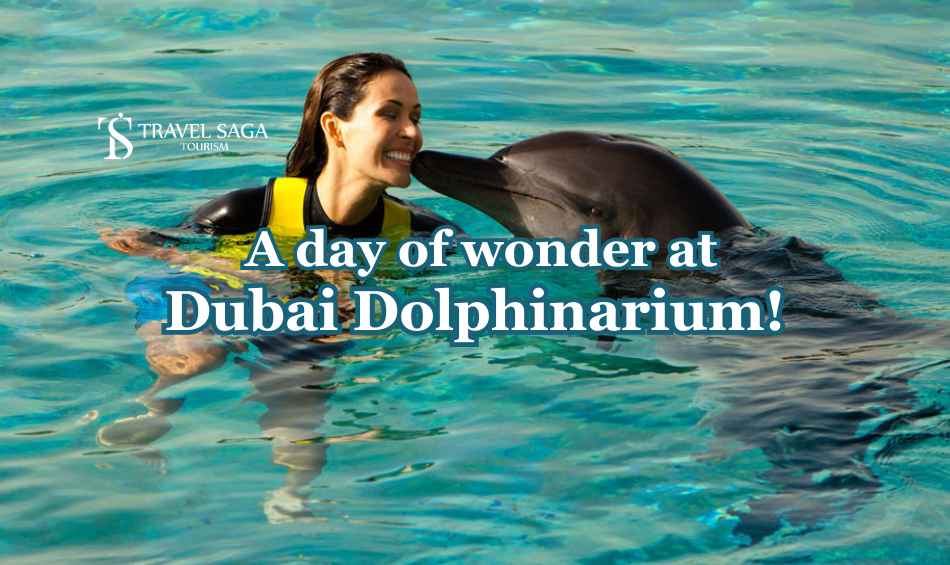 Dubai Dolphinarium blog banner by Travel Saga Tourism