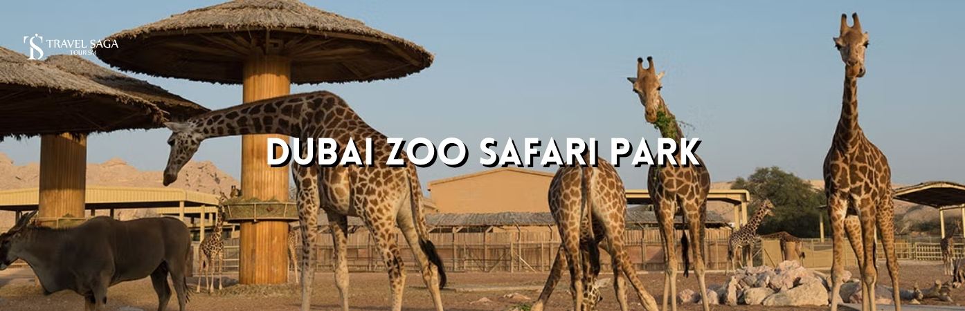 Dubai safari park timings | Dubai safari park photos bt banner by Travel Saga Tourism