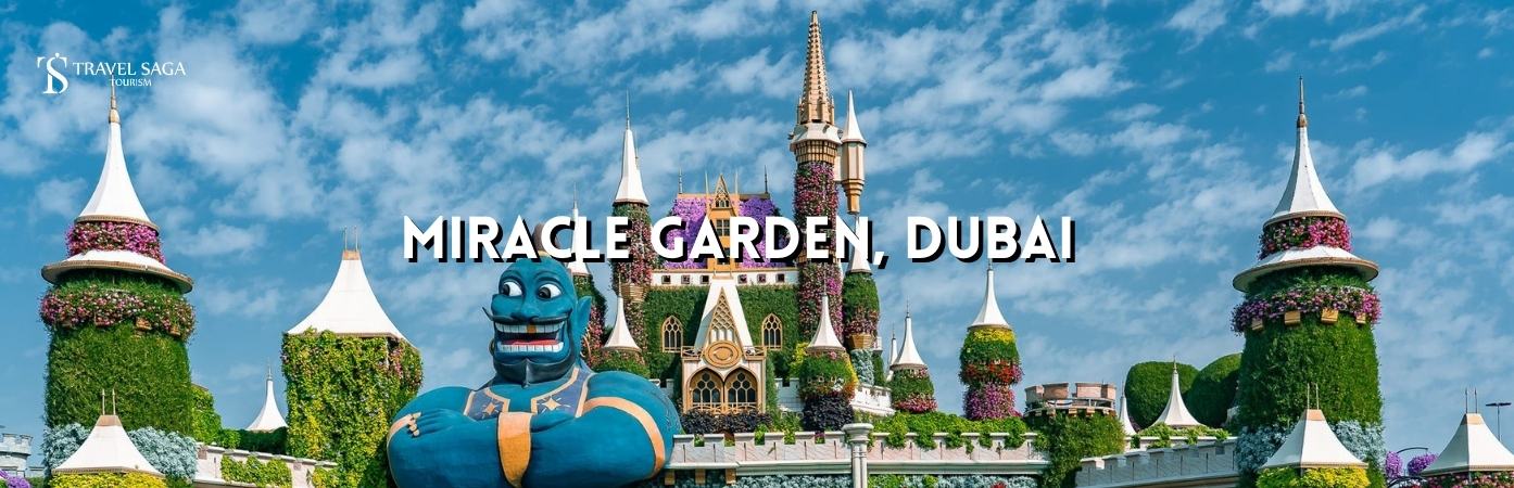 Dubai miracle garden ticket price | Dubai miracle garden photos bt banner by Travel Saga Tourism