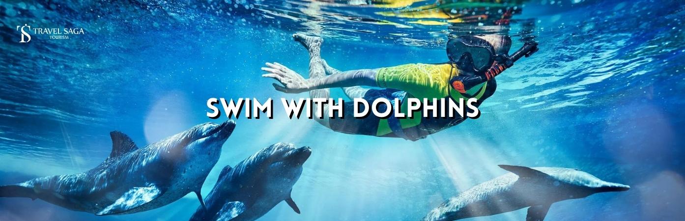 Atlantis swim with dolphins | swim with dolphins Dubai offers BT banner Travel Saga Tourism