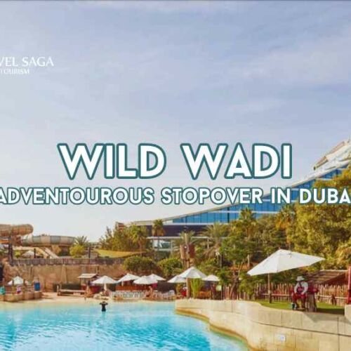 _Wild Wadi, Dubai blog banner by Travel Saga Tourism (1)