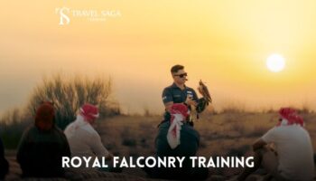 Royal Falconry Training