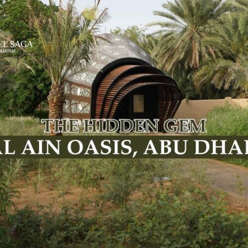 Al Ain Oasis abu dhabi blog banner by Travel Saga Tourism