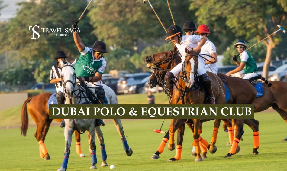 Dubai Polo & Equestrian Club blog banner by Travel Saga Tourism