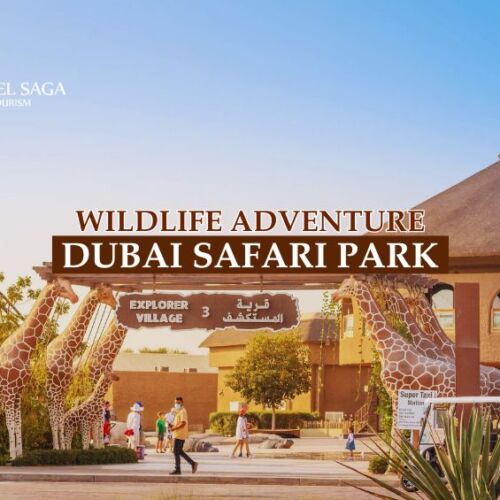 Dubai safari park blog banner by Travel Saga Tourism