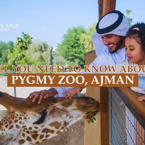 Ajman Zoo and Pygmy zoo tickets blog banner by Travel Saga Tourism