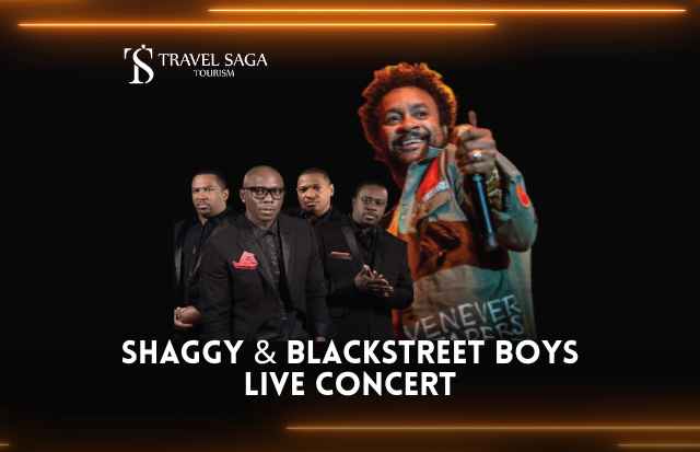 SHAGGY & BACK STREET BOYS LIVE CONCERT