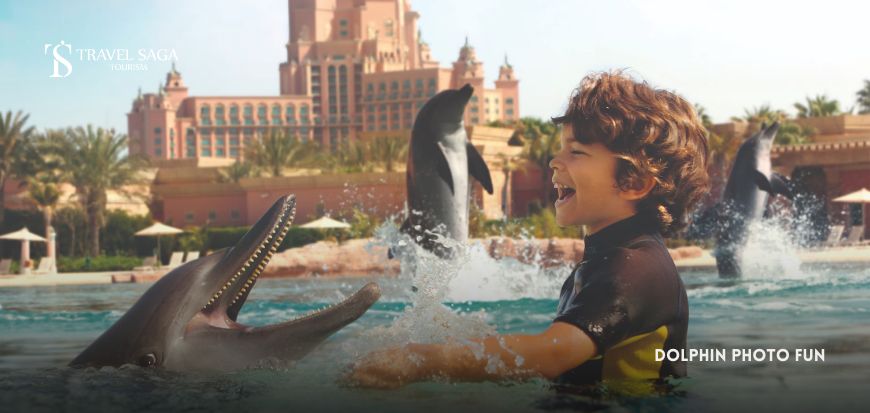 Dolphin Photo Fun