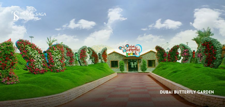 Dubai Butterfly Garden