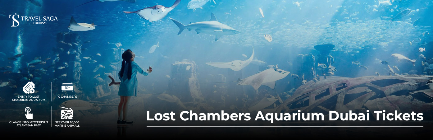 Book Lost Chambers Aquarium Dubai Tickets family aquarium adventure