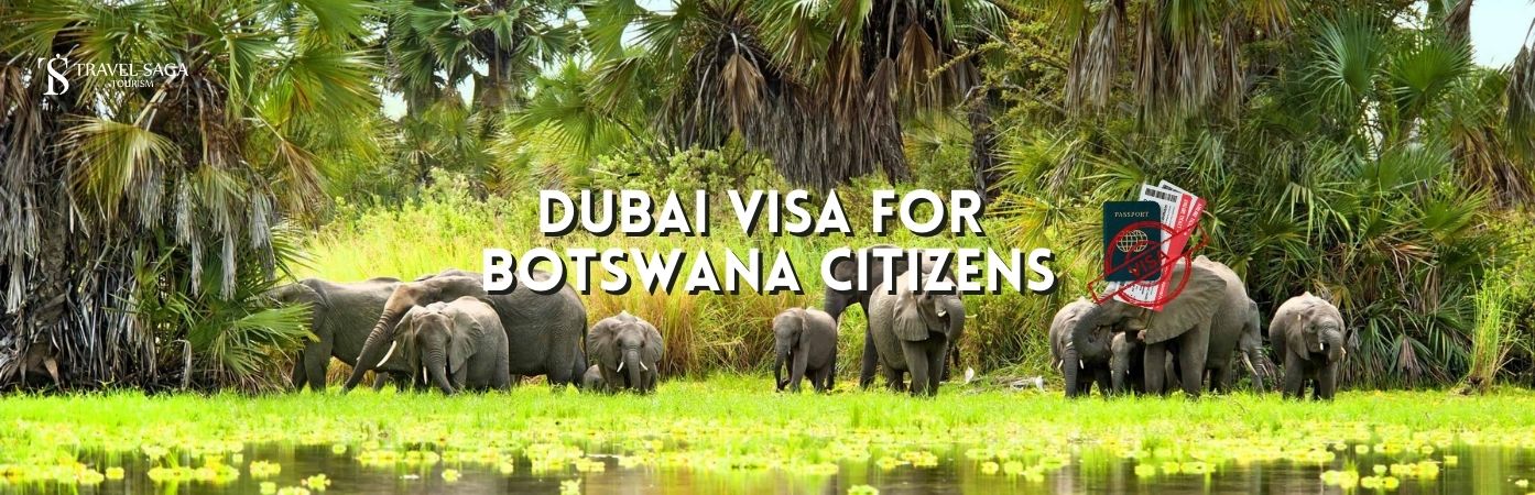 dubai visit visa for botswana | Dubai Visa for botswana Citizens bt banner Travel Saga Tourism