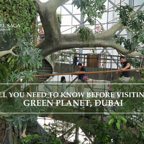 Green Planet Dubai and The Green Planet Dubai Tickets blog banner by Travel Saga Tourism