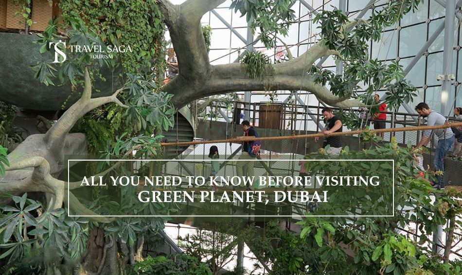 Green Planet Dubai and The Green Planet Dubai Tickets blog banner by Travel Saga Tourism