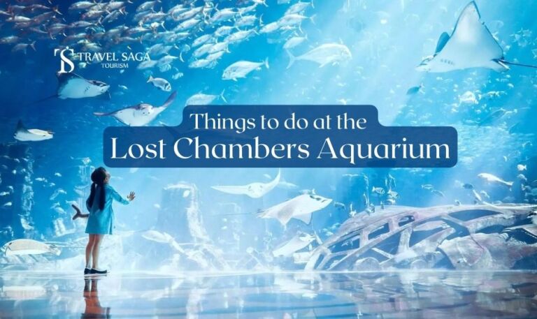 Things to do at the Lost Chambers Aquarium | The Lost Chambers Aquarium Blog Banner by Travel Saga Tourism