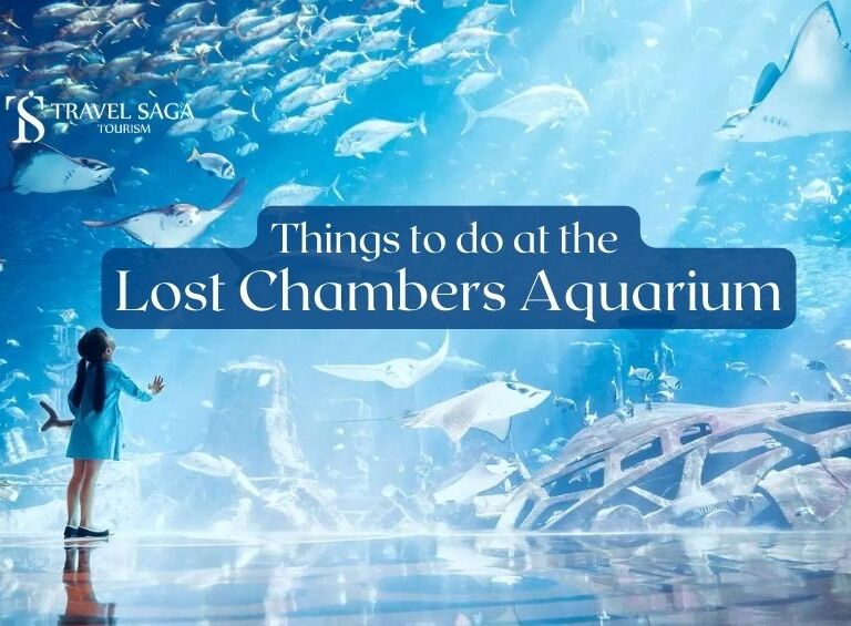 Things to do at the Lost Chambers Aquarium | The Lost Chambers Aquarium Blog Banner by Travel Saga Tourism