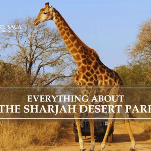 Visit to Sharjah Desert Park, Sharjah Desert Park Tickets blog banner by Travel Saga Tourism