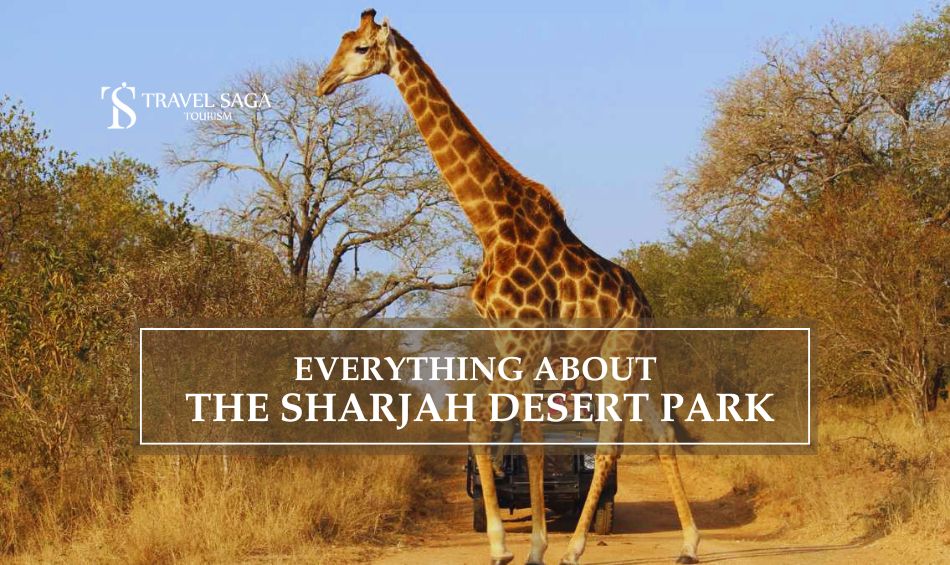 Visit to Sharjah Desert Park, Sharjah Desert Park Tickets blog banner by Travel Saga Tourism