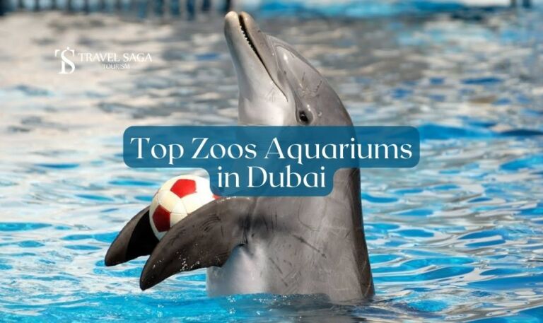 Zoo Aquarium in Dubai | Dubai Mall & aquarium Blog Banner By Travel Saga Tourism