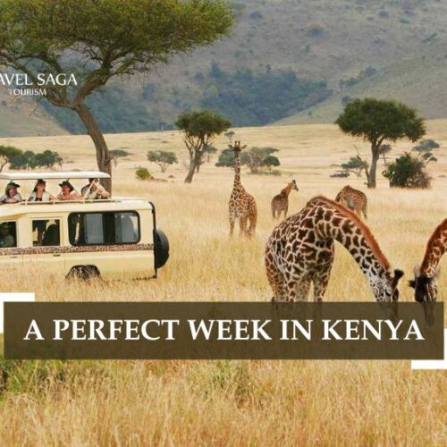 1 Week in Kenya and Kenya Itinerary Blog Banner Travel Saga Tourism