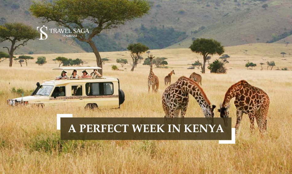 1 Week in Kenya and Kenya Itinerary Blog Banner Travel Saga Tourism