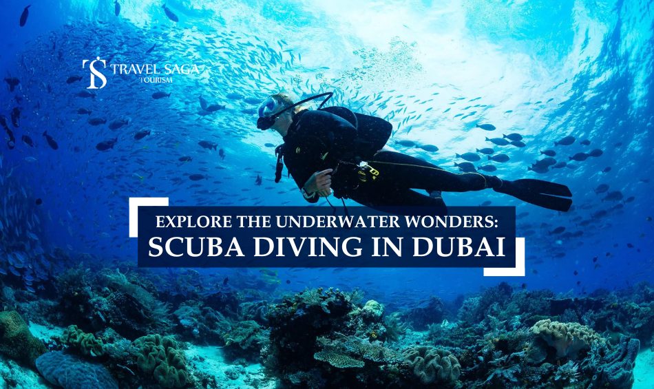 Scuba Diving In Dubai and Deep Dive Dubai Blog Banner By Travel Saga Tourism