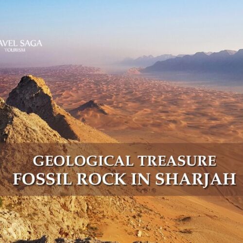 Fossil rock Sharjah hike and fossil rock Sharjah camping Travel Saga Tourism