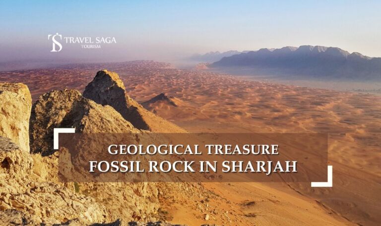 Fossil rock Sharjah hike and fossil rock Sharjah camping Travel Saga Tourism