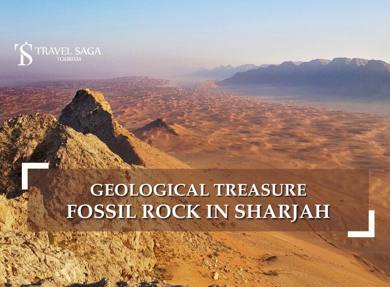 Fossil rock Sharjah hike and fossil rock Sharjah camping Travel Saga Tourism