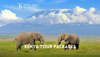 Kenya Tour Package