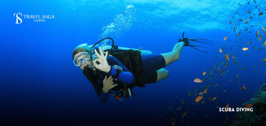 Scuba Diving 