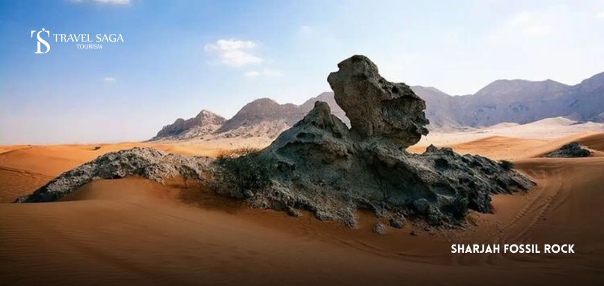 Sharjah Fossil Rock