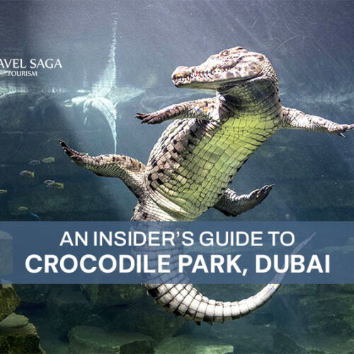 Crocodile Park Dubai Tickets and Book Dubai Crocodile Park Blog Banner Travel Saga Tourism