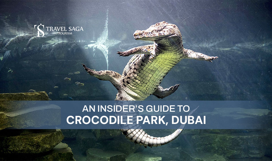 Crocodile Park Dubai Tickets and Book Dubai Crocodile Park Blog Banner Travel Saga Tourism