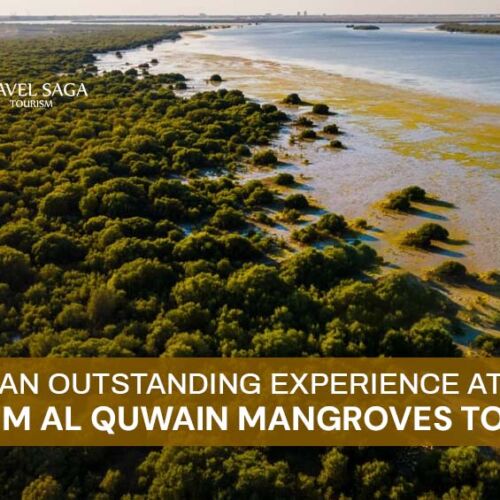 Kayak Mangrove Tour and Umm Al Quwain Mangroves Tour Blog Banner By Travel Saga Tourism