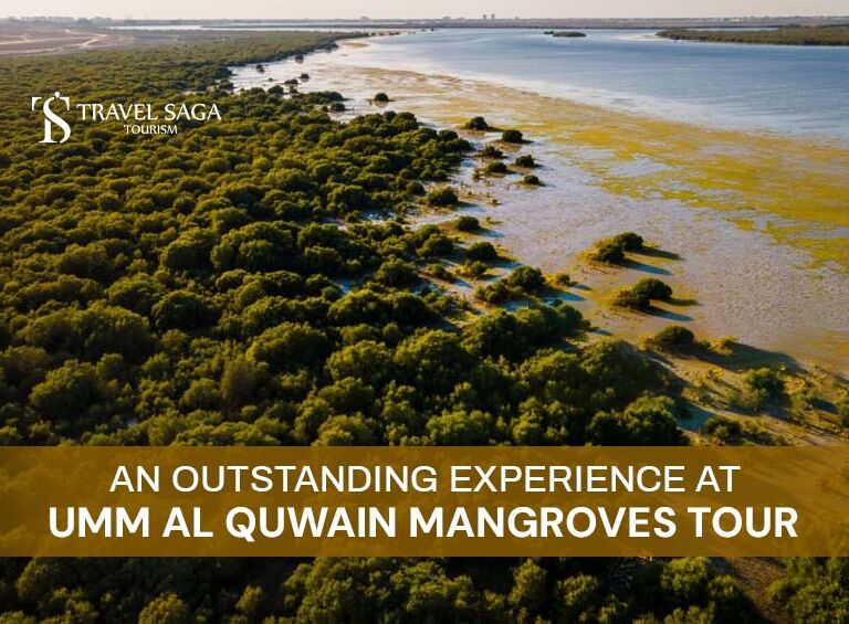 Kayak Mangrove Tour and Umm Al Quwain Mangroves Tour Blog Banner By Travel Saga Tourism