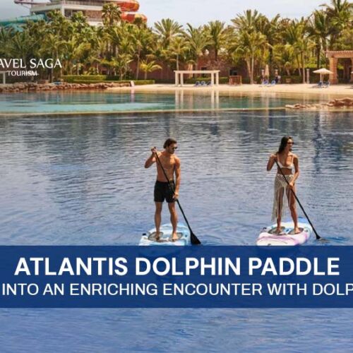 Dolphin Show in Dubai and Experience Dolphin Activity Tours in Atlantis Dubai Blog Banner By Travel Saga Tourism