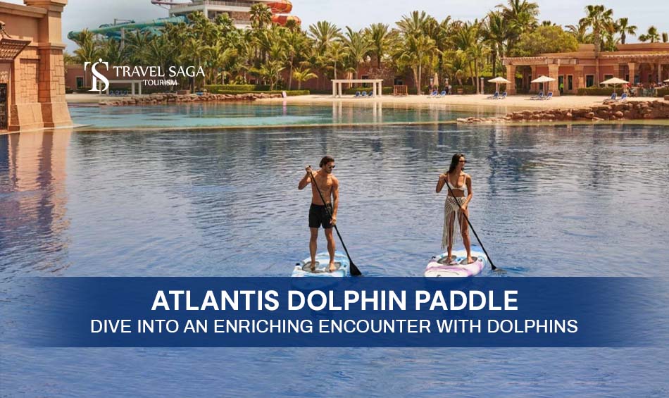 Dolphin Show in Dubai and Experience Dolphin Activity Tours in Atlantis Dubai Blog Banner By Travel Saga Tourism