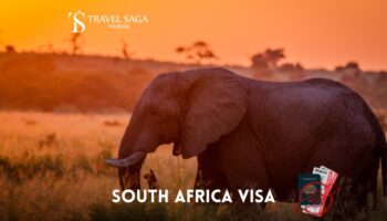 Apply South Africa Visa from UAE