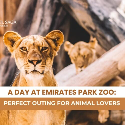 Emirates Park Zoo & Resort and Emirates Park Zoo Activities Blog Banner By Travel Saga Tourism