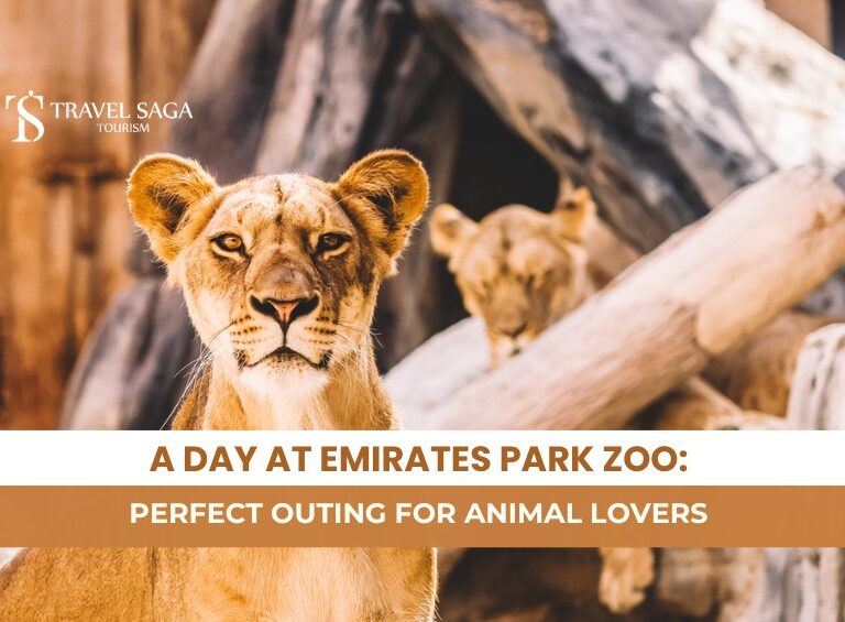 Emirates Park Zoo & Resort and Emirates Park Zoo Activities Blog Banner By Travel Saga Tourism