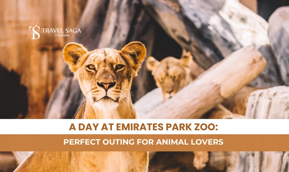 Emirates Park Zoo & Resort and Emirates Park Zoo Activities Blog Banner By Travel Saga Tourism