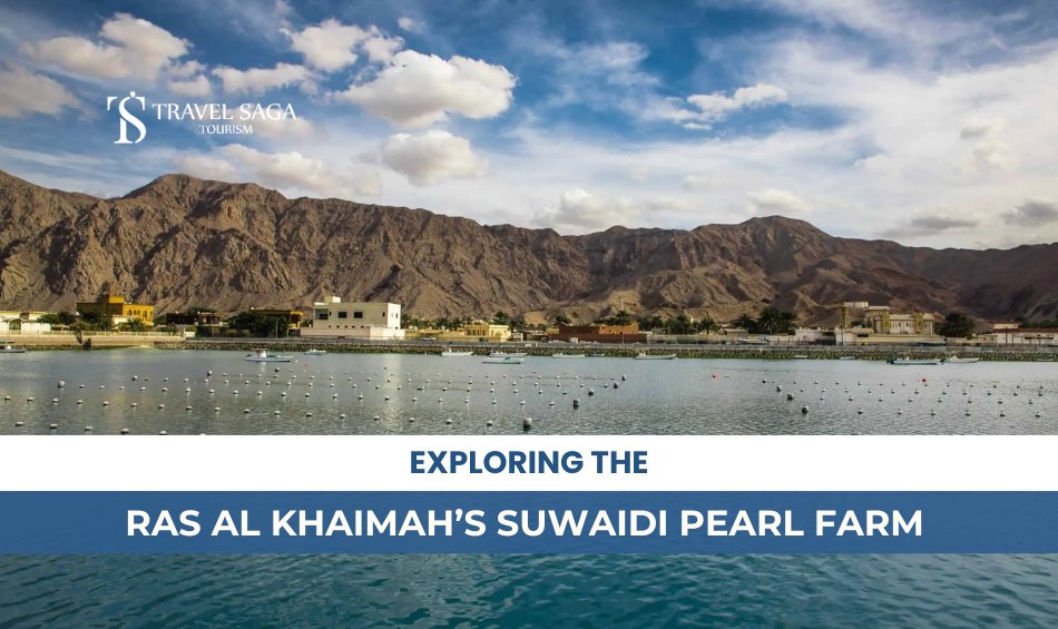 Exploring the Ras Al Khaimah’s Pearl Farm and Ras Al Khaimah’s Pearl Farm Blog Banner By Travel Saga Tourism